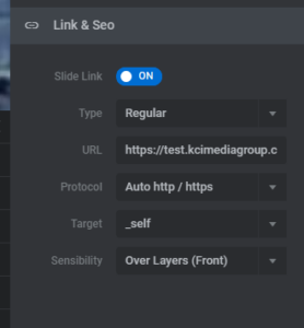 Link & Seo